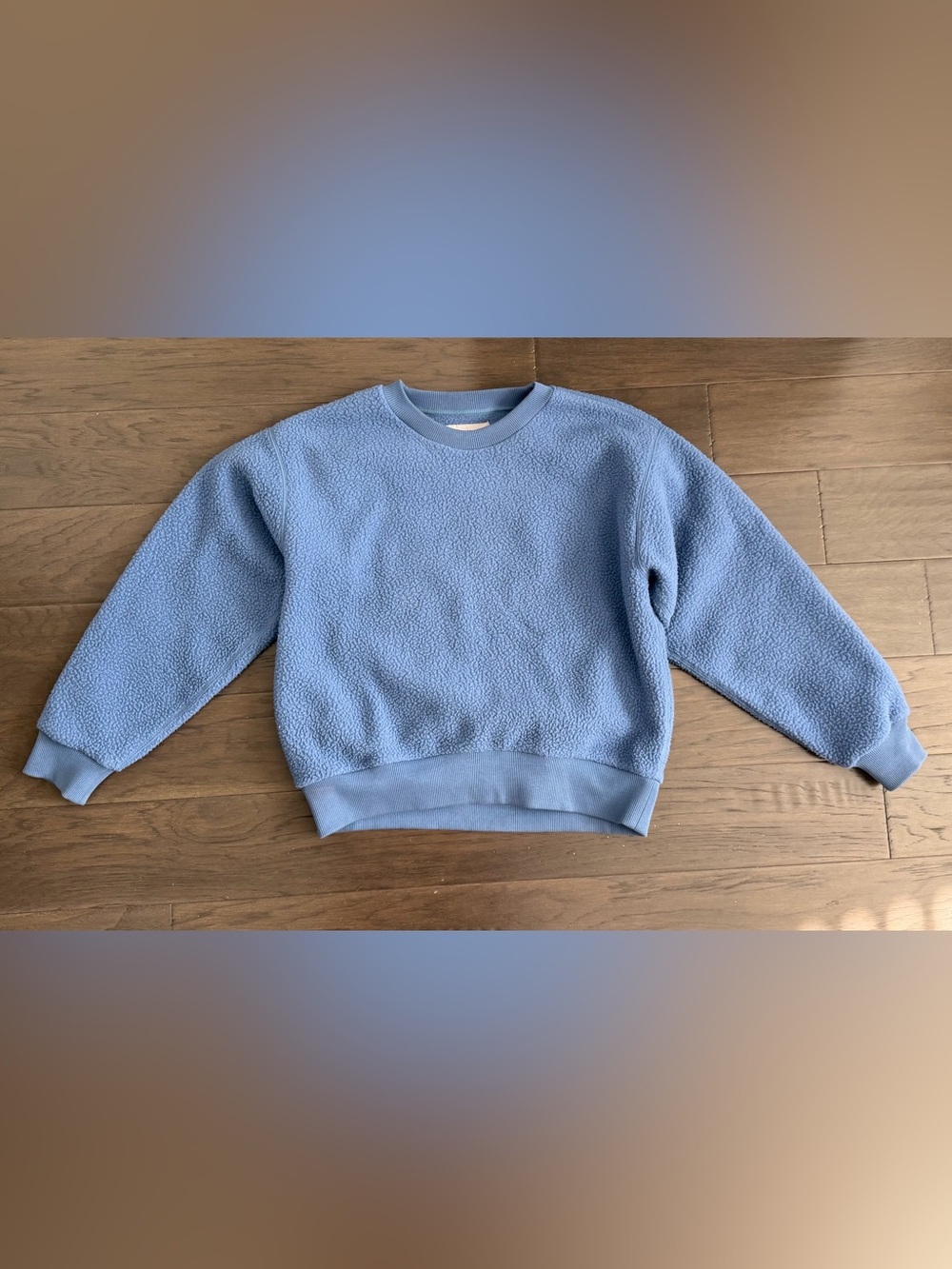 Everlane Renew Light Blue Fleece Crewneck Sweatshirt